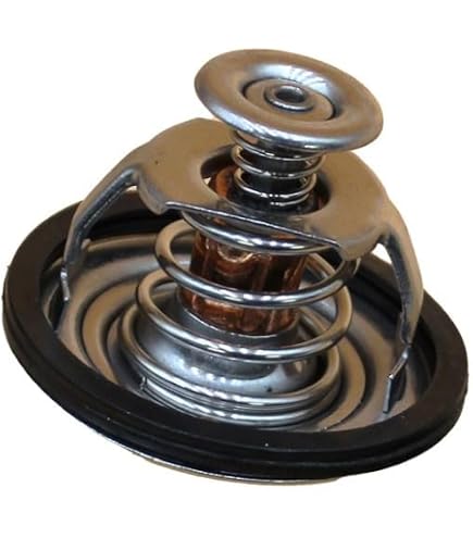 Amazon.com: XYZIL 76.5℃ Thermostat 8971606540 8-97160654-0